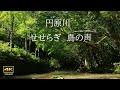 4K映像 + 自然環境音  / 【復活版】春の円原川    Enbara river in spring