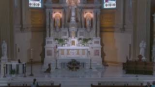 St. Bernard Mass Stream
