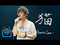 猫 - DISH// (北村匠海)【AiemuTV - Acoustic cover】