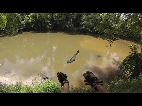 Video Hot dog catfish bait