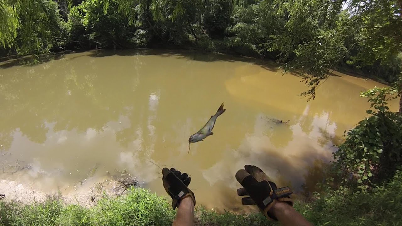 How To Catch Channel Catfish with Hot Dogs