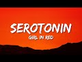 Miniature de la vidéo de la chanson Serotonin