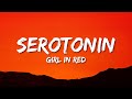 girl in red - serotonin (Lyrics)