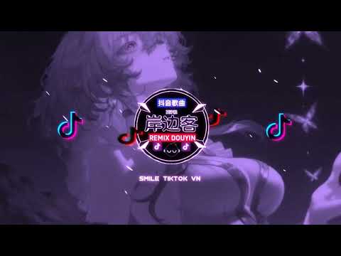 【热播】夏子航 - 岸边客《抖音DJ版》『无奈情似花飞落，斩断当年少年诺。』｜Hot TikTok