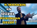 K.MARAŞİN EN SAĞLAM KUŞUNDAN ALDIK ! Kaçak yakaladım