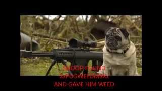 Normalist Video Part 2