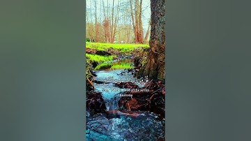 سورة المؤمنون [الآية:84-85] | القارئ محمد صديق المنشاوي