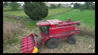 Real Farming Case IH 2166 Axial-Flow raccolta mais -AgriBudai-