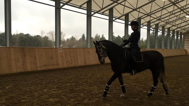 Arrow Viveza - Carol McArdle clinic