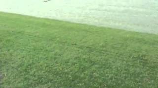 Stadium Fairway Mowing