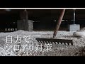 【古民家リノベーション#08】シロアリ対策を業者に頼まず自力でやってみた