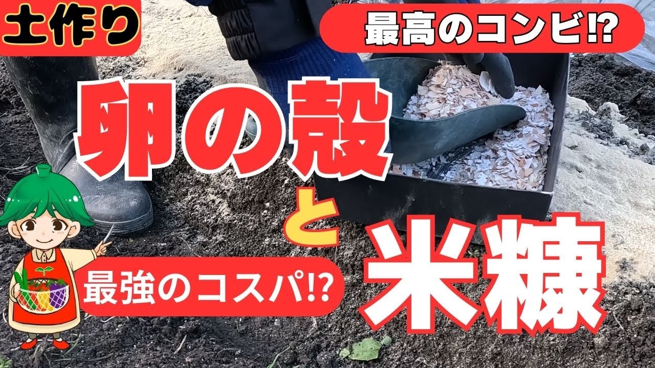 【卵の殻と米糠】で簡単にできる‼肥料効果や害虫対策