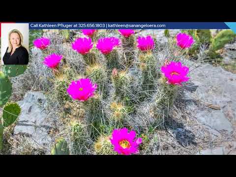 2799 Ridge Lane Rd, Christoval, TX home video tour
