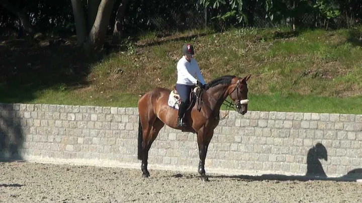 Floreen Video 1