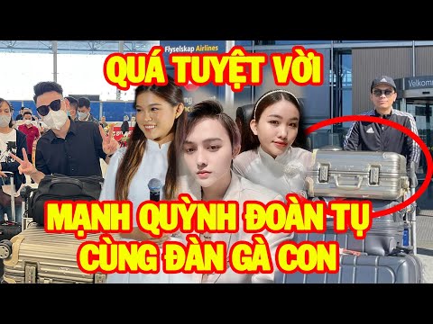 Video Tiết lộ kế hoạch tại Việt Nam cùng đàn gà con Phi... - youtube