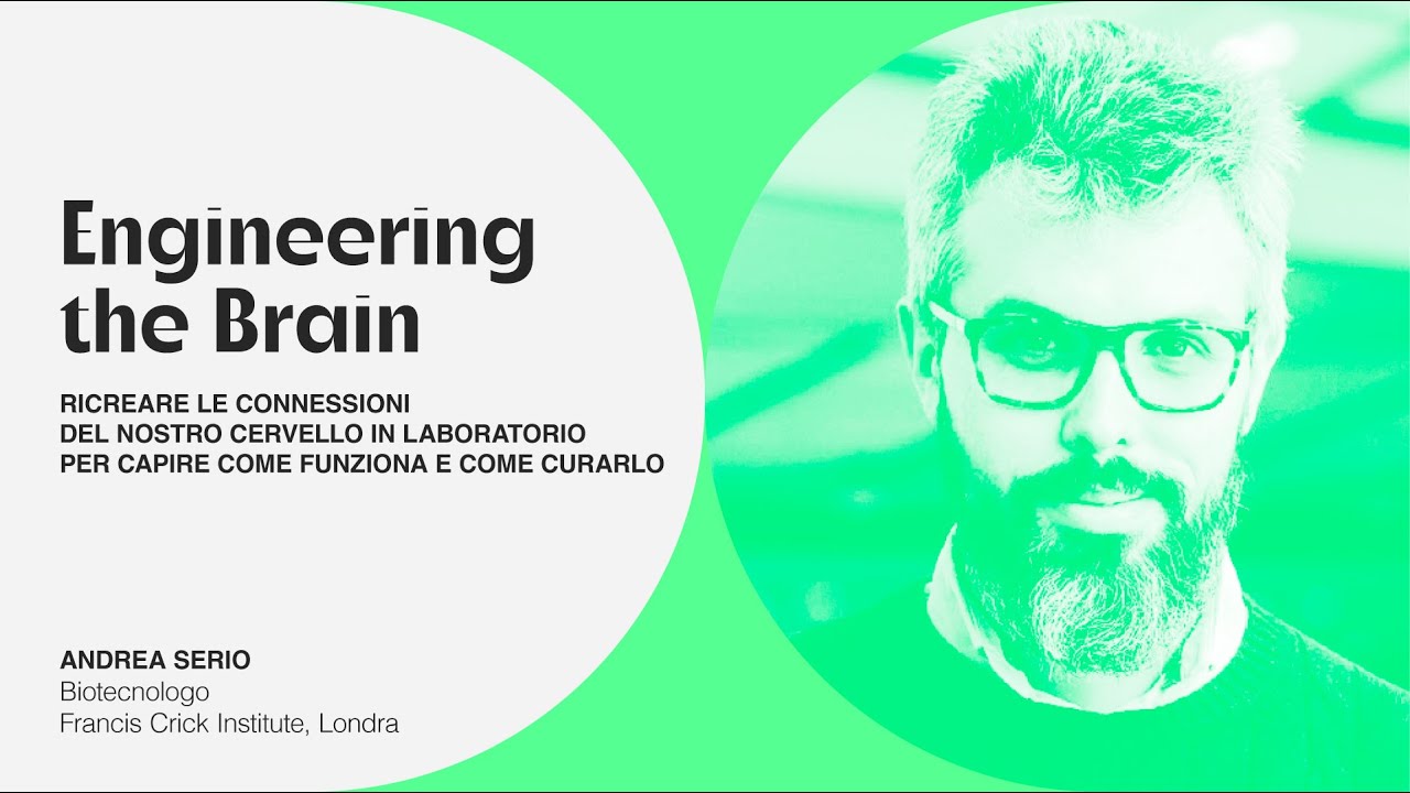 Engineering the brain - Andrea Serio per la Via delle Scienze