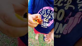 Picnic With Kids Again travel familytravel kidstrip