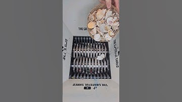 Shredding some sea shells 🐚 #ocean #crunchy #asmr #oddlysatisfying #short