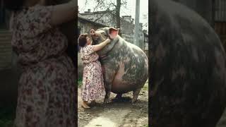 You Wont Believe This Baby Animals Glow-Up