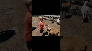 Davis Farm Land - July 2018