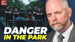 Celebrity REAL LAWYER: How To Legally Survive a “Wolf Pack” Attack! Profile