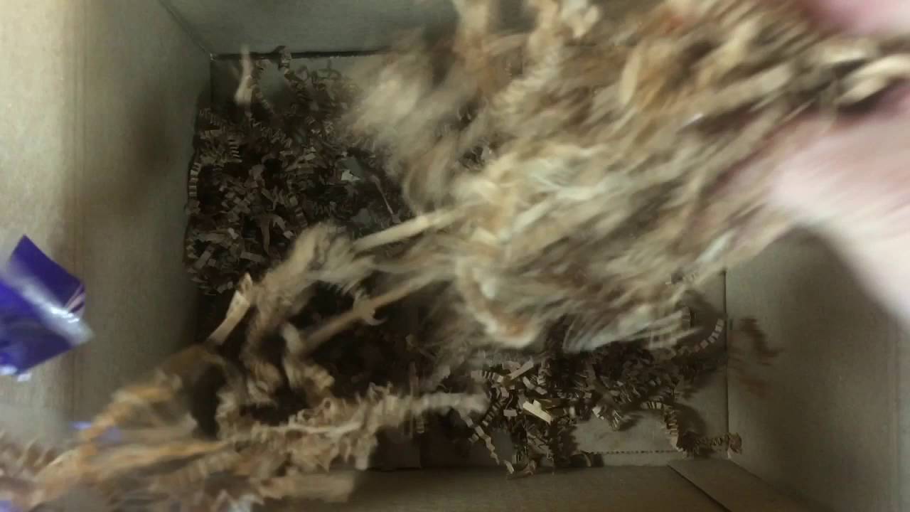 paper mache DIY || Packaging Outgoing Mail | Turtle Creations 4U