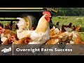 Overnight Farming Success! - APPPA S2:E2