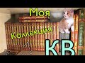 Моя коллекция книг «Котов-Воителей»😺