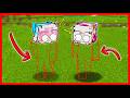 SEMUA ANGGOTA TUBUH ATUN & MOMON HILANG !! Feat @sapipurba Minecraft