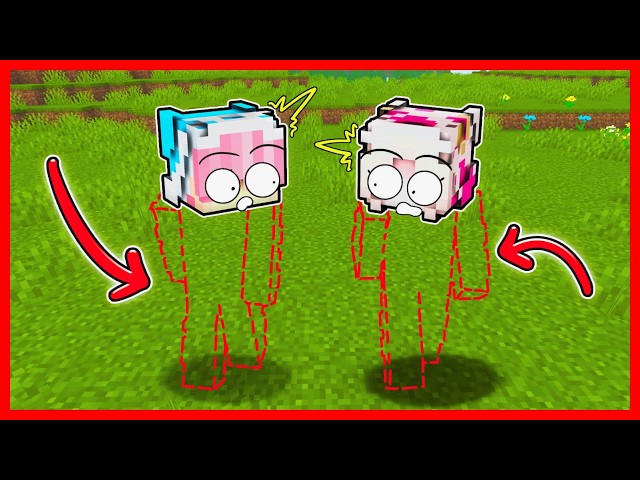 SEMUA ANGGOTA TUBUH ATUN & MOMON HILANG !! Feat @sapipurba Minecraft