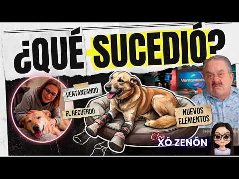 Patty Ruíz #milagroscaninos cuenta que pasó #paydelimon en el foro de #ventaneando | MALOS MODOS!