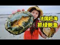 法国赶海2小时能抓什么？龙虾鲍鱼能爆桶，做海鲜意面味道好 | 鲍鱼 | 赶海 | 法国 | 龙虾 | 海鲜 |