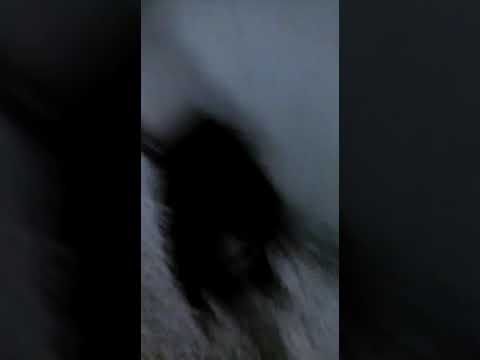 ككطظس1حزىرراااار