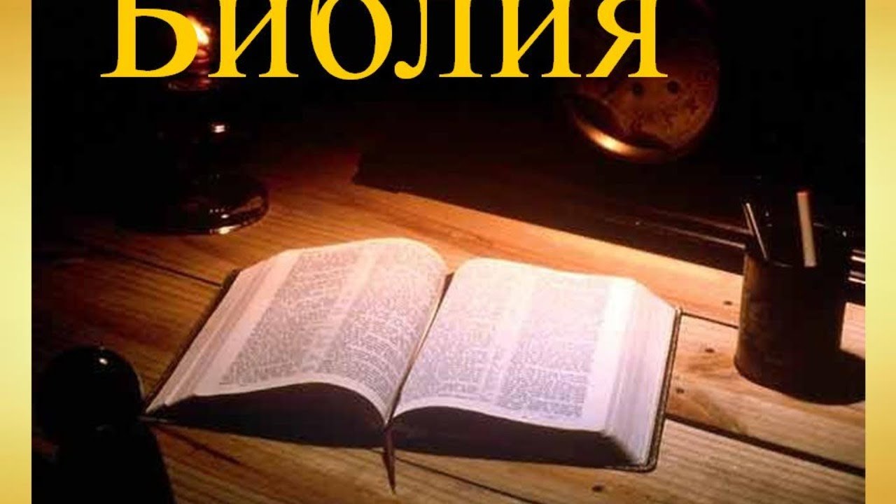 книги священного писания. библия и только библия. библия и только библия. библия. библия на японском языке.