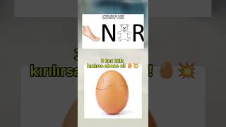 Devamını Görünce Şaşıracaksın