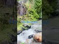 feel the nature sound #beautyofnature #shorts #trendingreel#assambeauty #watefall