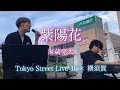 Tokyo Street Live 4K × 横須賀 海蔵亮太「紫陽花」