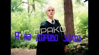 Video thumbnail of "МС ДРАКО - Я на дерево залез [тает лёд]"