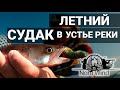 СУДАК НА ДЖИГ ИЛИ ОТВОДНОЙ ПОВОДОК? ПОПАЛ НА ХОРОШИЙ КЛЕВ СУДАКОВ НА РЕКЕ ВОЛХОВ - Ладожское озеро