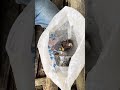 hasil ngebolang hari ini kita panen banyak #tayobolang