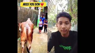 #viral #short kurbani viral video 🐄🐄🐄