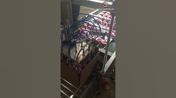 Solid alcohol pod cup bottle robot hand cartoning machine case packing line