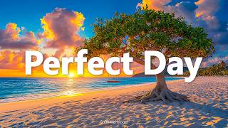 Perfect Day 🌅 Tropical Deep House 2026 | Sunshine Escape | Shimmermood