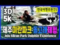 🔴 180° 3D VR 제주미란파크 돌고래체험  - Jeju Miran Park Dolphin Experience (with Clova Dubbing) 5K