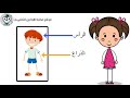 الصف الأول اجزاء جسم الانسان الصف الأول اجزاء جسم الانسان