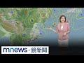 徐巧芯罷免運動