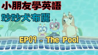 【小朋友學英語】 妙妙犬布麗｜Bluey ｜EP09 The Pool ｜Learn English from Bluey ｜兒童歡樂頻道