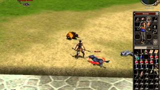 Metin2 Ninja Dmg Test