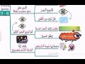 قراءة سورة الملك من 12 1