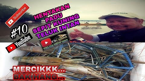 Gasak Udang Galah Kampung Esso Teluk Intan.#sepitkuning#ulatbulu#lubuktaram